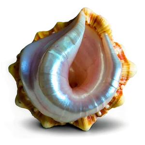 Pearl In Conch Shell PNG Det