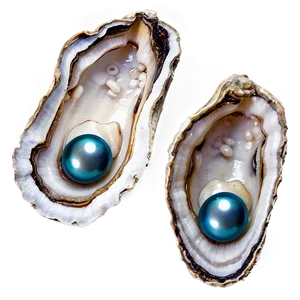 Pearl In Oyster Png 17 PNG image
