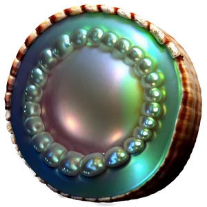 Pearl In Shell PNG 82 PNG