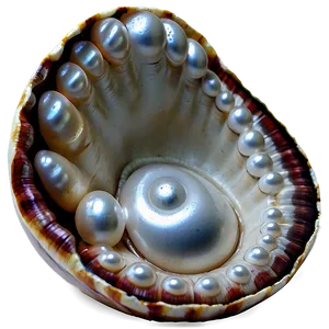 Pearl In Shell PNG Vpb2 PNG