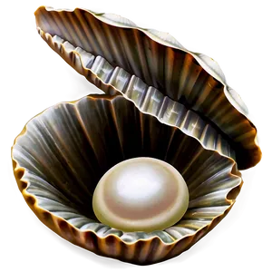 Pearl Inside Shell Png 28 PNG image