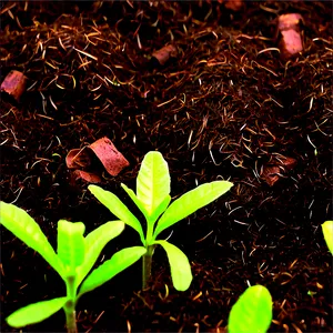 Peat Moss Garden Mulch PNG 06132024 PNG