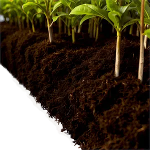 Peat Moss Garden Mulch PNG Lpn9 PNG