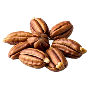 Pecan Cluster Png 06272024 PNG image