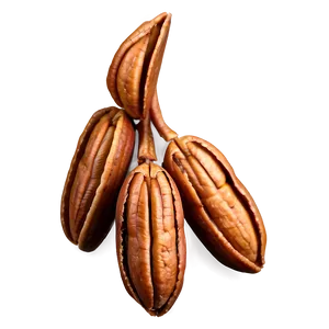 Pecan Cluster Png 06272024 PNG image