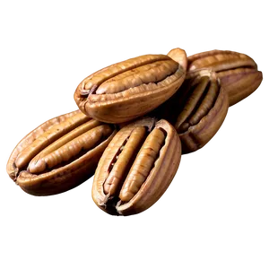 Pecan Cluster Png 06272024 PNG image