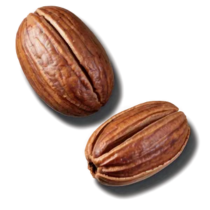 Pecan Nut Png 06122024 PNG image