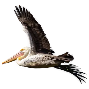 Pelican Flight At Dusk Png Hme95 PNG image