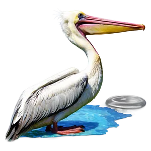 Pelican Hovering Over Water Png 06242024 PNG image