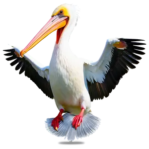 Pelican Hovering Over Water PNG Wlq59 PNG