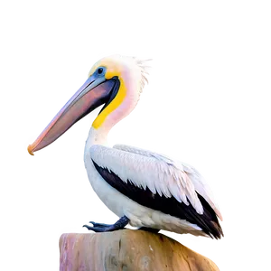 Pelican In Pastel Sky Png Csp PNG image