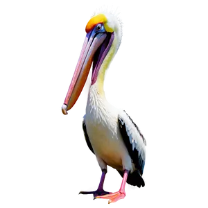 Pelican In Tropical Setting PNG Vml99