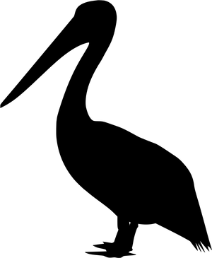Pelican Silhouette Graphic PNG
