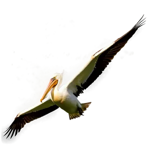Pelican Under Stormy Skies PNG Rlw31