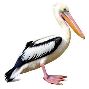 Pelican With Spread Wings Png Kfy PNG image