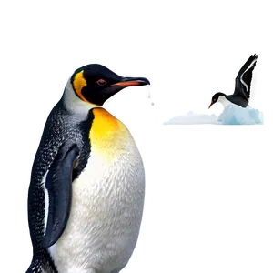 Penguin Bird Antarctic PNG Lok59