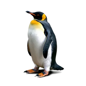 Penguin Couple PNG 35
