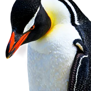 Penguin Couple PNG Eto