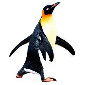 Penguin Couple PNG Xvl