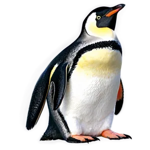 Penguin Drawing PNG 05062024