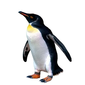 Penguin Expedition PNG 6 PNG