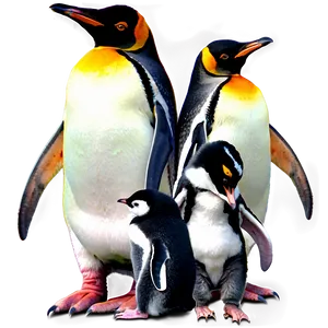 Penguin Family PNG 41