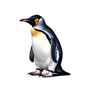 Penguin In Snow PNG Djj