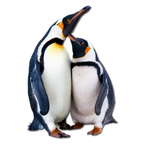 Penguin Love PNG 49