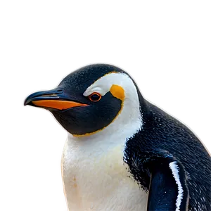 Penguin On Holiday Png Jko PNG image