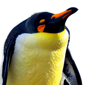 Penguin Outline PNG Cfg63