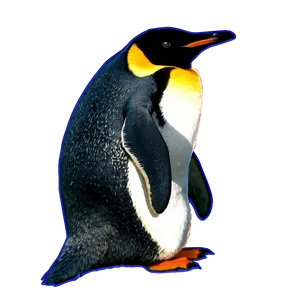 Penguin Outline PNG Hhq