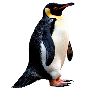 Penguin Silhouette PNG 85