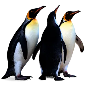 Penguin Silhouette PNG Cxn