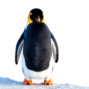 Penguin Winter Scene PNG 69