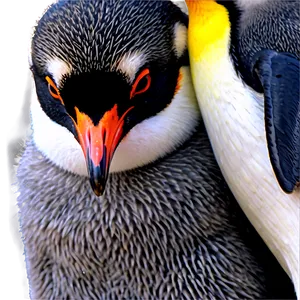 Penguin With Baby PNG Lij66 PNG