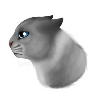 Pensive Blue Eyed Cat Meme PNG image