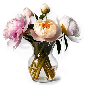 Peonies In Vase Png Nbe PNG image