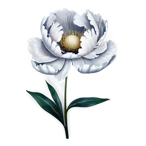 Peony Flower Illustration PNG Jht