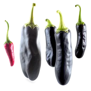 Pepper Drawing PNG 05242024 PNG