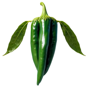Pepper Farm Png 05242024 PNG image