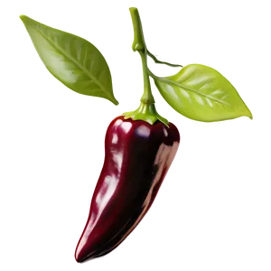 Pepper Plant Png Phs99 PNG image