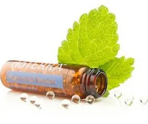 Peppermint Extract Bottlewith Leaves PNG image