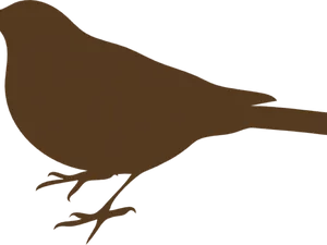 Perched Bird Silhouette PNG image