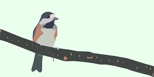 Perched Sparrow Illustration