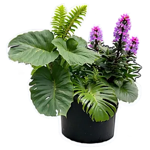 Perennial Plants Png 13 PNG image