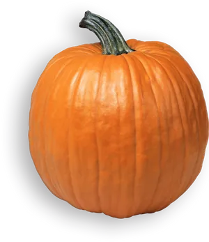Perfect Orange Pumpkinon Gray Background.png PNG image