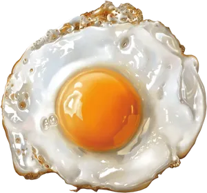 Perfectly Fried Egg.png PNG