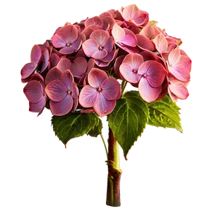 Period Hydrangea Cluster PNG Qyi26 PNG