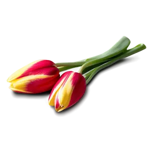 Period Piece Tulip Artwork PNG 72