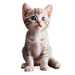 Persnickety Kitten PNG 99